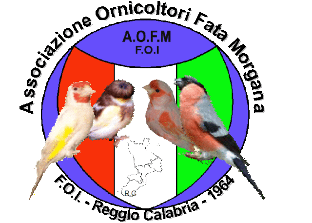 Reggio ha rappresentato ornitologia calabrese|Eccellenze Calabresi|News