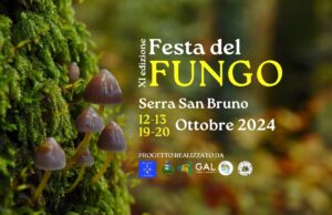 Festa del Fungo 2024: un viaggio tra sapori, natura e cultura Festa del fungo 2024 - comunicato stampa