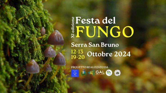 Festa del Fungo 2024: un viaggio tra sapori, natura e cultura Festa del fungo 2024 - comunicato stampa
